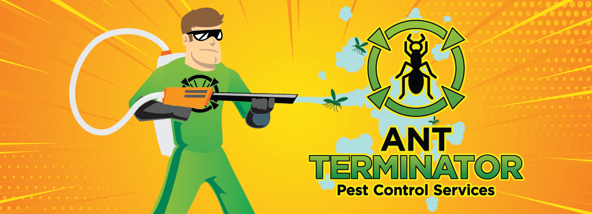 Expert ant extermination services to eliminate infestations and keep your home and garden ant-free year-round in Simcoe County.
